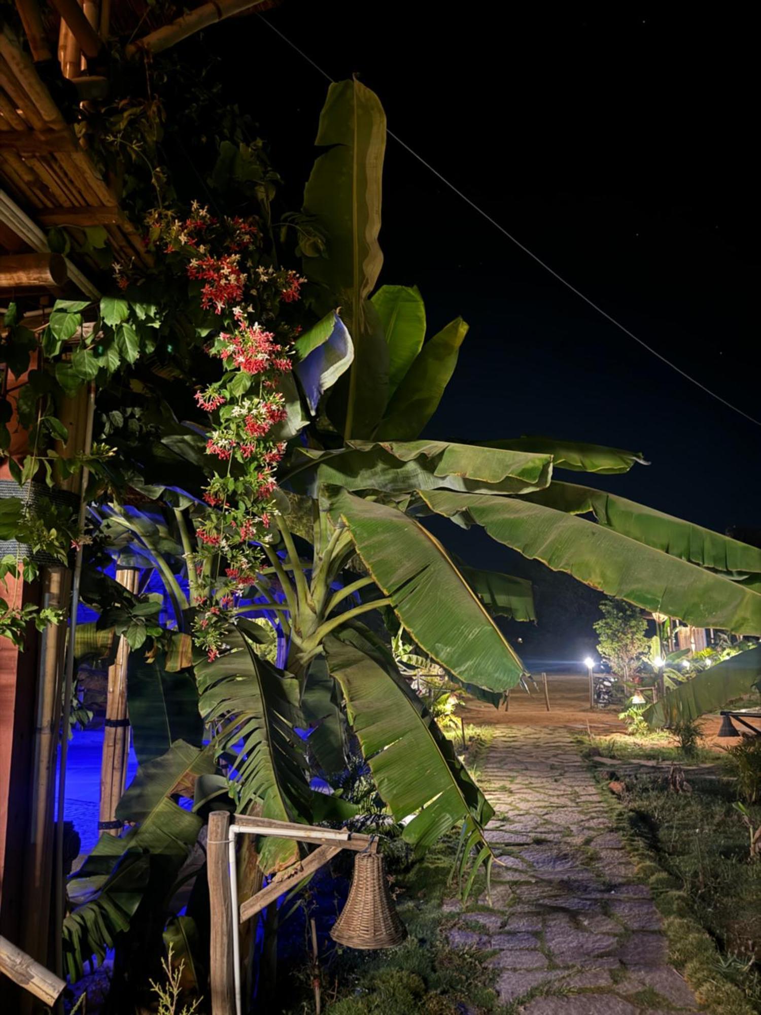 Hotel Hill Stone View Hampi Zewnętrze zdjęcie